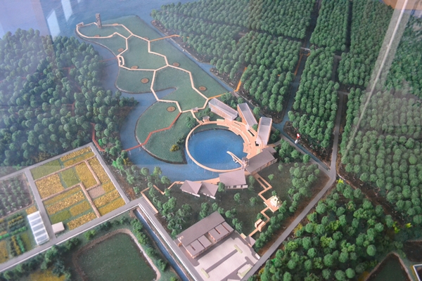 โครงการสร้างสวนพฤกษศาสตร์ป่าชายเลน ร.๙ บ้านเส..