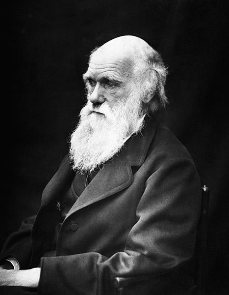 ชาร์ลส์ ดาร์วิน ใช้เวลาศึกษารวบรวมความรู้เกี่ยวกับการวิวัฒนาการของสิ่งมีชีวิตอยู่นานกว่า 20 ปี จึงตีพิมพ์ออกมาเป็นหนังสือ กำเนิดสปีชีส์ (ภาพโดย J. Cameron)