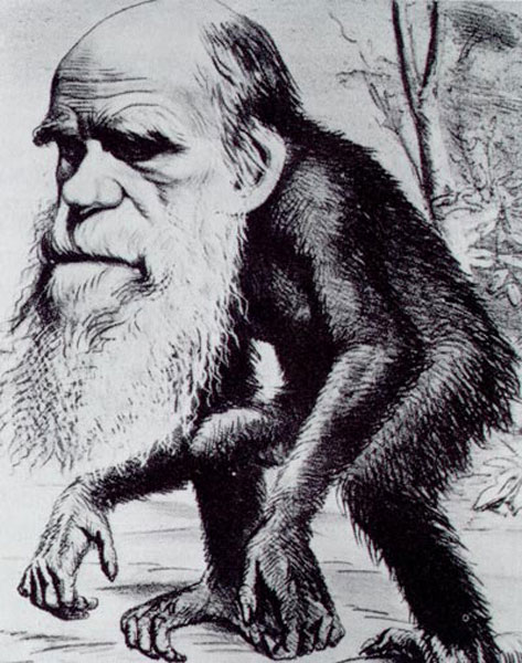 ภาพล้อเลียนชาร์ลส์ ดาร์วิน ที่วิวัฒนาการมาจากลิง (ภาพจาก Hornet magazine)