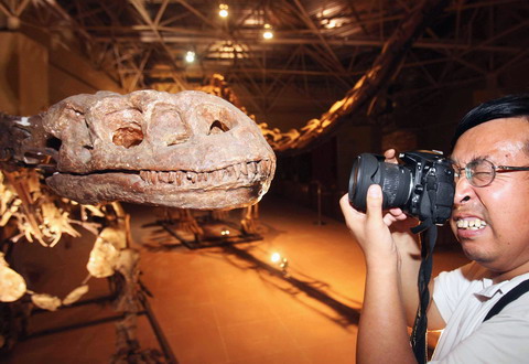 ผู้มาเยี่ยมชมดูฟอสซิลไดโนเสาร์ ที่พิพิธภัณฑ์ในคุนหมิง มณฑลหยุนหนัน วันที่ 12 สิงหาคม-เอเอฟพี