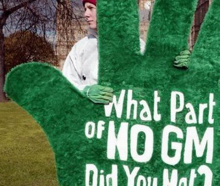 This photo retrieved February 23, 2011 is from http://news.yahoo.com. A protester takes part in an anti-GM protest near Parliment in central London. Global plantings of genetically modified crops increased 10 percent in 2010 compared to the prior year, according to a study which has been released by an organization that promotes crop biotechnology. (AFP/File/Jim Watson) 