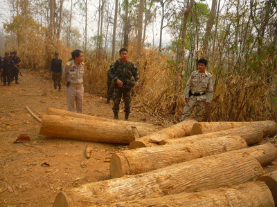 ไม้สักอีก 500 ท่อนที่ซุกซ่อนตามชายป่าแม่ระมาด