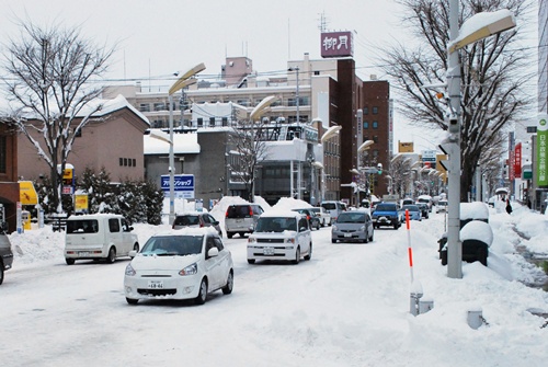 Energy-saving LED traffic lights seemed like a cool way to cut back on electricity costs, but Japanese police said Monday they might just be too cool -- because they dont melt snow.