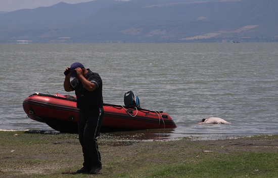 Chapala, Jalisco, MEXICO: The body of one of the two Canadians who were still missing, floats on the shore of Lake Chapala next to a firefighters boat, in Chapala, Jalisco State, Mexico, on May 21, 2015. The missing men were found dead on Thursday, after disappearing during a boat trip along with a third man who was found on Tuesday. The three men had left in a sailboat on Monday and were reported as missing the next day when their empty vessel was found on Lake Chapala. AFP PHOTO/Hector Guerrero