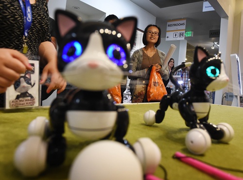 Los Angeles, California, UNITED STATES: Robot cats are watched by cat lovers during the inaugural CatConLa event in Los Angeles, California on June 7, 2015. AFP PHOTO/Mark Ralston