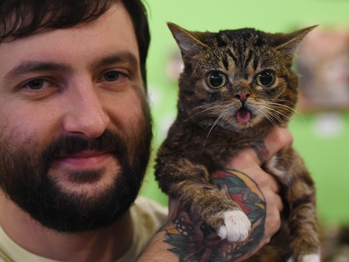 Los Angeles, California, UNITED STATES: Internet celebrity cat Lil Bub known for her unique appearance is held by owner Mike Bridavsky at the inaugural CatConLa event in Los Angeles, California on June 7, 2015. AFP PHOTO/Mark Ralston