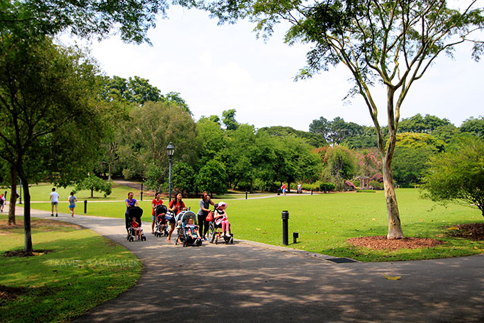 “Singapore Botanic Gardens” สวนสีเขียวใจกลางเมือง มรดกโลกน้องใหม่ที่ “สิงคโปร์”