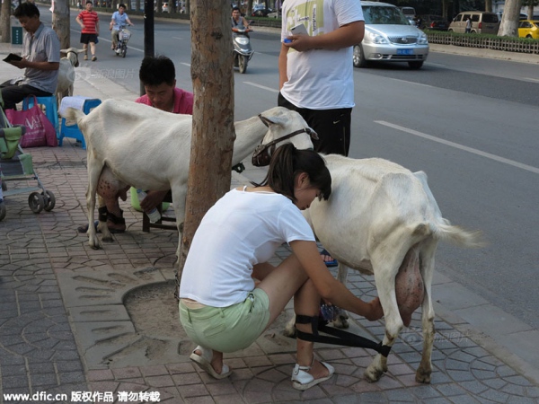 พ่อค้าแม่ค้าโชว์รีดนมจากเต้าลงขวดขายขวดละ 10 หยวน ในนครซีอัน (ภาพ สื่อจีน)