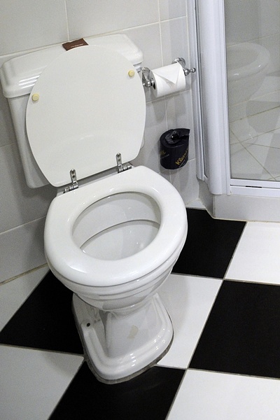 Japanese police have arrested a man accused of bursting into a lawyers office and cutting off his penis with garden shears before flushing the organ down a toilet. -- Photo: AFP