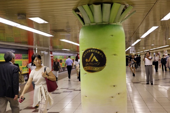 Tokyo, Tokyo, JAPAN: Pedestrians look at a large green neck radish cover at a underground passage of a subway station in Tokyo on September 2, 2015. Japan Agriculture Cooperative decorated the pillars of the underground passage with vegetable shaped covers such as radish, carrot, corn, cucumber, eggplant and sweet potato for the promotion of the domestically produced vegetables. AFP PHOTO/Yoshikazu Tsuno