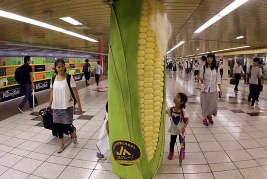 Tokyo, Tokyo, JAPAN: Pedestrians watch a large corn decoration cover at a underground passage of a subway station in Tokyo on September 2, 2015. Japan Agriculture Cooperative decorated the pillars of the underground passage with vegetable shaped covers such as radish, carrot, corn, cucumber, eggplant and sweet potato for the promotion of the domestically produced vegetables. AFP PHOTO/Yoshikazu Tsuno
