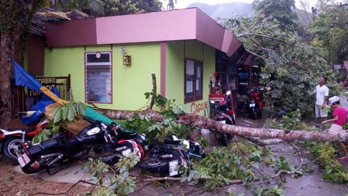 ลมพายุพัดต้นยางพาราล้มทับหลังคาบ้านและรถจยย.บนเกาะช้าง เสียหาย 