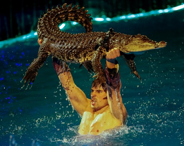 จระเข้ตัวหนึ่งและผู้ดูแลมันกำลังทำการแสดงโชว์ชุดใหม่  Water and Fire ที่โรงละครสัตว์แห่งชาติในกรุงเคียฟ