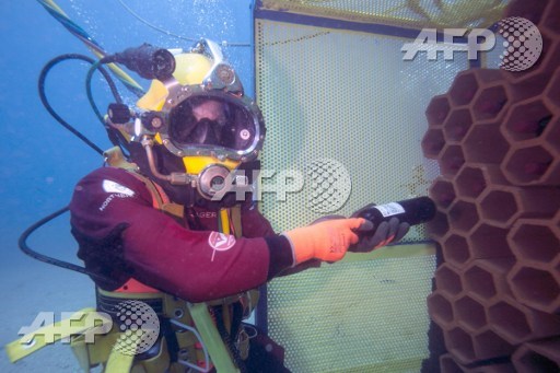 A diver takes a bottle in an underwater wine cellar in the mediterranean sea off Saint-Mandrier, southern France on May 15, 2017. Boris Horvat/AFP