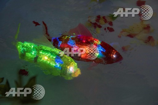 Robot fish