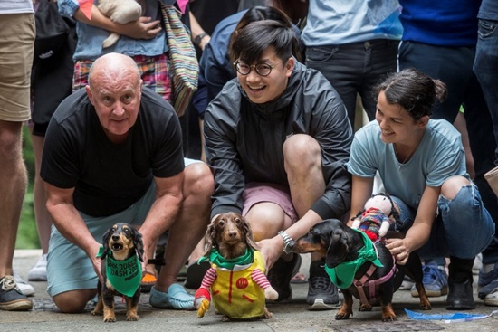 Owners and their dogs take part in HK Doggie Dash 2018, an event held to raise money for for abandoned and surrendered dogs in Hong Kong on April 15, 2018. Isaac Lawrence/AFP