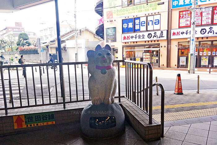 แมวกวักตัวโตมานั่งรอหน้าสถานีโกโทคุจิ