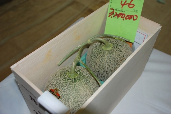 A pair of Yubari melons, that fetched a record 3.2 million yen ($29,300) at an auction, are seen in Sapporo on May 26, 2018. The single pair of premium melons on May 26 fetched a record 3.2 million yen ($29,300) at an auction in Japan, where the produce can be a huge status symbol. Jiji Press/AFP