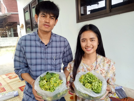 (คลิปข่าว) สาววัย 23 คุมธุรกิจปลูกดอกขจร ซัดกำไรแสนต่อเดือน
