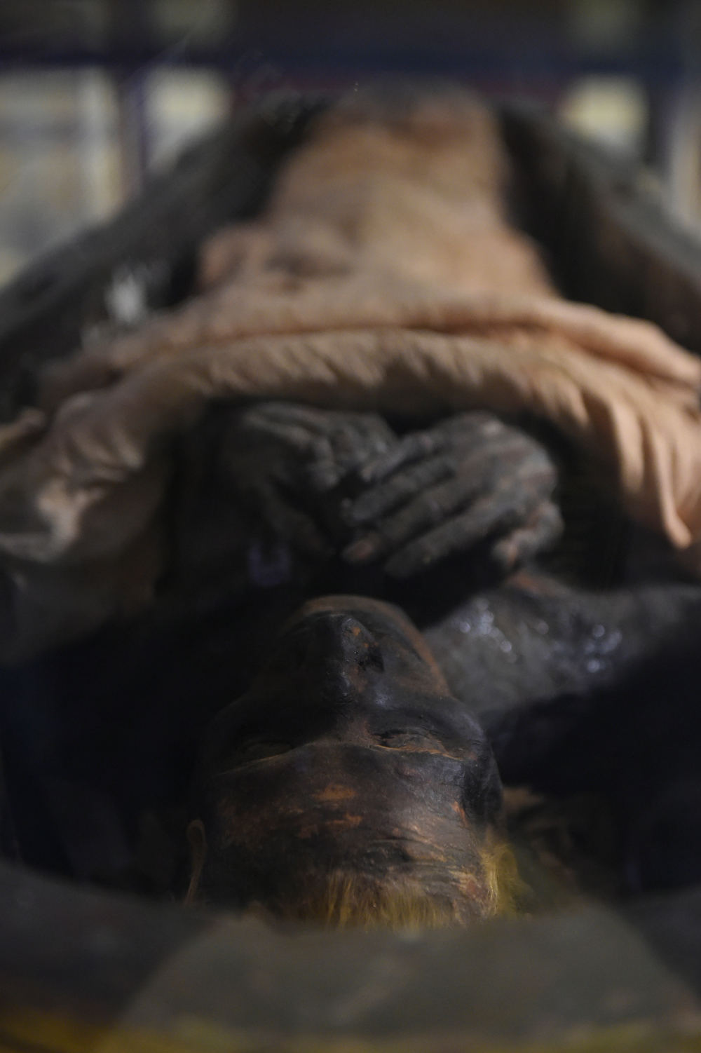  มัมมี่ของยูยาที่จัดแสดงภายในพิพิธภัณฑ์อียิปต์ระหว่างการฉลอง 116 ปีของพิพิธภัณฑ์ (Khaled DESOUKI / AFP) 