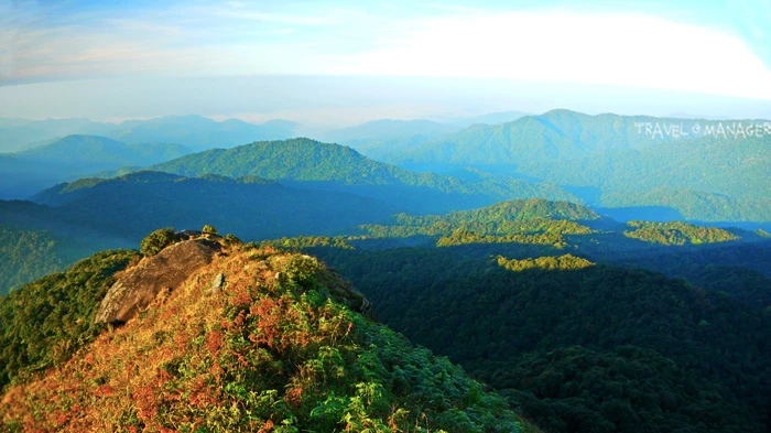 ผืนป่าอันอุดมสมบูรณ์รอบบริเวณยอดเขาโมโกจู