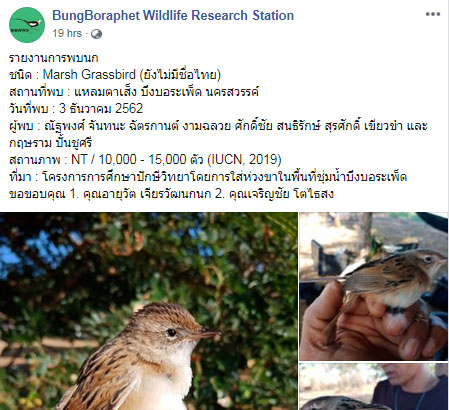 เพจ BungBoraphet Wildlife Research Station