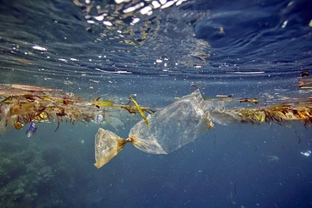 ปริมาณขยะพลาสติกในทะเล คือเหตุผลสำคัญในการเร่งรัดให้ผู้บริโภคร่วมลดใช้พลาสติกที่ใช้ครั้งเดียวทิ้ง
