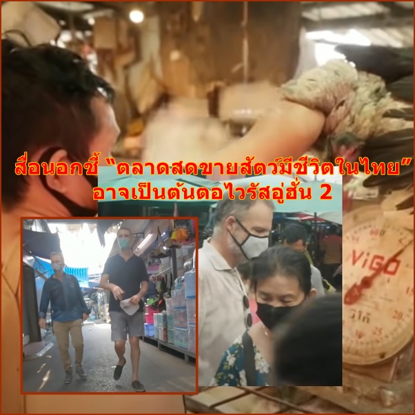 In Clip : “นักข่าวฝรั่งตาน้ำข้าว” สยดสยองสภาพตลาดสดไทย ชี้อาจกลายเป็นอู่ฮั่น 2