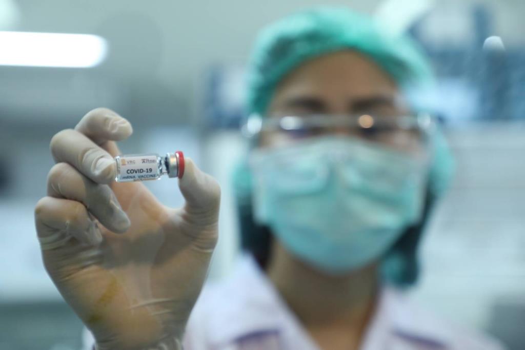 วัคซีนโควิด-19 เข็มแรกของไทยสร้างภูมิคุ้มกันให้ลิง เข็มต่อไป 22 มิ.ย.นี้