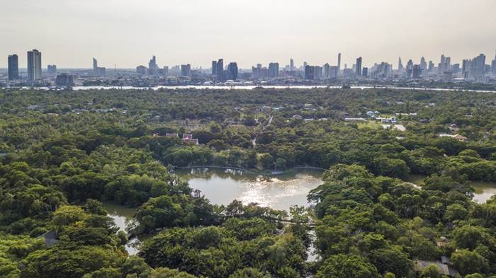 แฟ้มภาพซินหัว : สวนสาธารณะและสวนพฤกษชาติศรีนครเขื่อนขันธ์ กรุงเทพฯ วันที่ 29 ส.ค. 2020