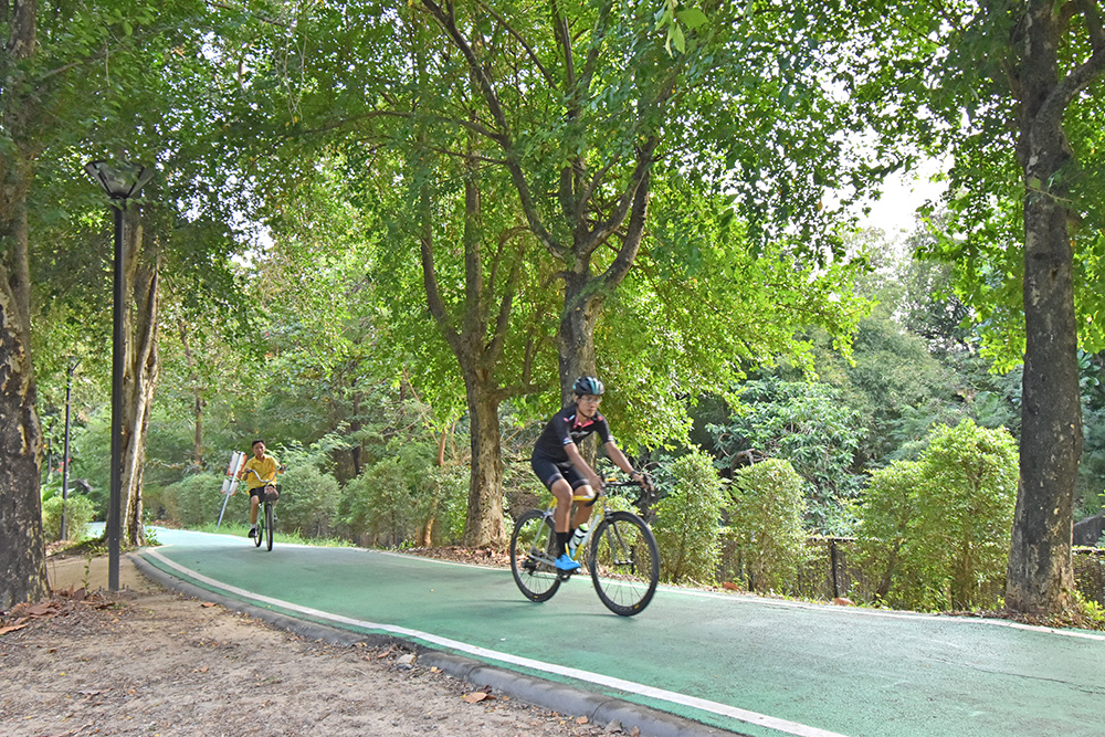 เส้นทางของจักรยานทางภายในสวนรถไฟ