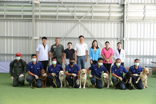 โครงการวิจัยสุนัขดมกลิ่นเพื่อตรวจหาผู้ป่วยโควิด-19  (K9 Dogs Sniff COVID-19) พันธุ์ลาบราดอร์ รีทรีฟเวอร์ (Labrador Retriever) จำนวน 6 ตัว  