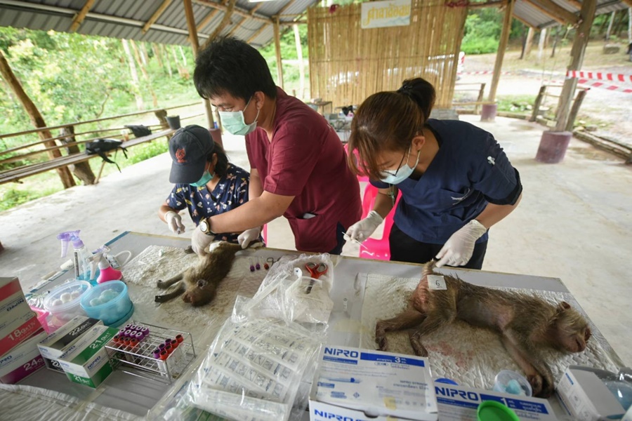 โรงพยาบาลสนามสัตว์ป่า ณ ศูนย์ช่วยเหลือสัตว์ป่าที่ 1 (นครนายก)