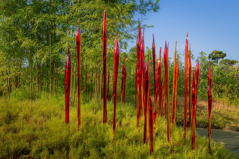 ประติมากรรมRed Bamboo Reeds โซน Serene Garden (ภาพจาก Chihuly Studio โดย Nathaniel Willson)