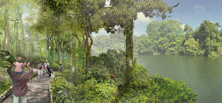 เส้นทางเดินใกล้ชิดธรรมชาติใน มันได  (ภาพ : Mandai Parks Holdings) 