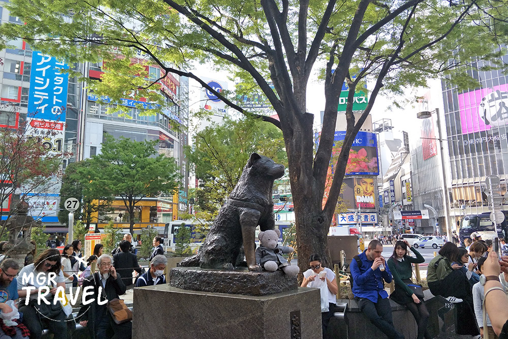 รูปปั้นหมาฮาจิโกะหน้าสถานีชิบูยะ