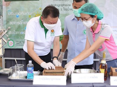 ราชทัณฑ์จับมือแพทย์แผนไทยสร้างคลังยา “ฟ้าทะลายโจร” ฝ่าทางรอดโควิด