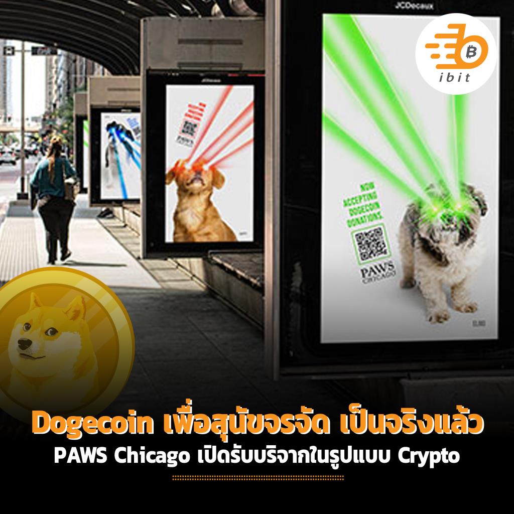 Dogecoin เพื่อสุนัขจรจัด เป็นจริงแล้ว PAWS Chicago เปิดรับบริจากในรูปแบบ Crypto