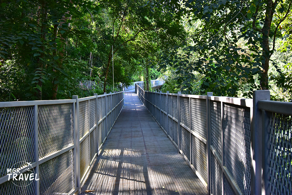 Canopy Walkway  เส้นทางเดินชมธรรมชาติเหนือเรือนยอดไม้ 