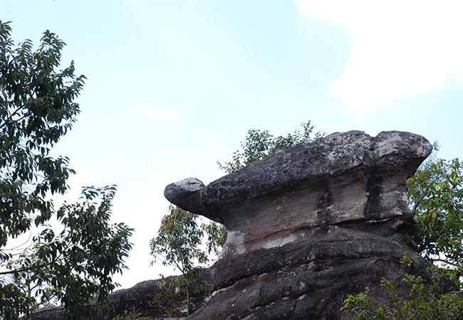 หินเต่า (ภาพจากสำนักอุทยานแห่งชาติ)
