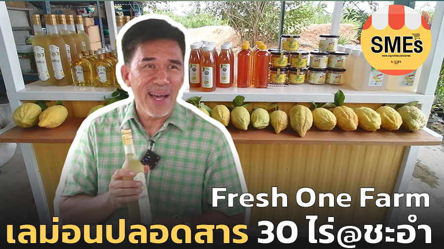 (ชมคลิป) สวนเลม่อนชะอำ ปลอดสาร 30 ไร่เน้นแปรรูปขายเองคนต่างชาติและไทย ตลาดไปได้สวย!