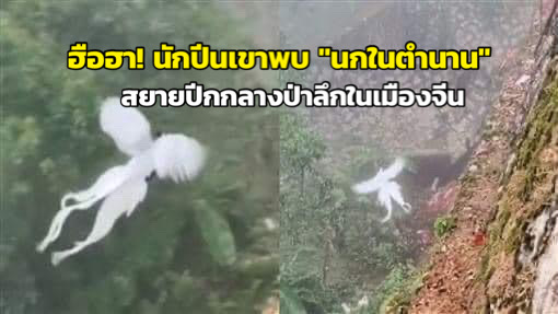 ฮือฮา! นักปีนเขาพบ "นกในตำนาน" สยายปีกกลางป่าลึกในเมืองจีน