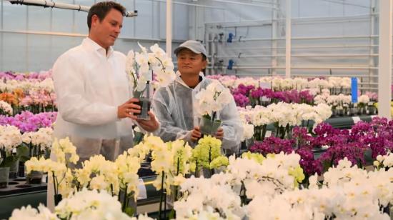   แจ็ค หม่า ที่บริษัทเพาะพันธุ์ไม้ดอกไม้ประดับในเนเธอร์แลนด์เมื่อปีที่แล้ว ซึ่งเป็นหนึ่งในหลายประเทศที่เขาเคยไปเยือนตั้งแต่มีปัญหากับทางการจีน (ภาพรอยเตอร์)