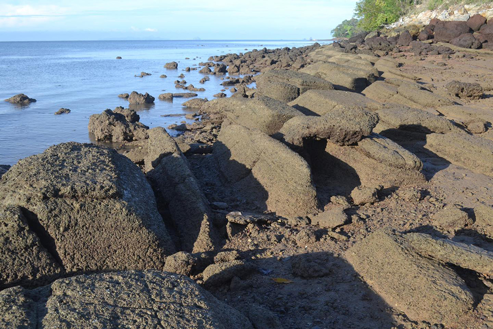 สุสานหอย 75 ล้านปี แหล่งฟอสซิลหอยน้ำจืดโบราณ แสดงหลักฐานว่าบริเวณนี้เคยเป็นแหล่งน้ำจืดมาก่อน (ภาพ : อช.หาดนพรัตน์ธารา-หมู่เกาะพีพี) 