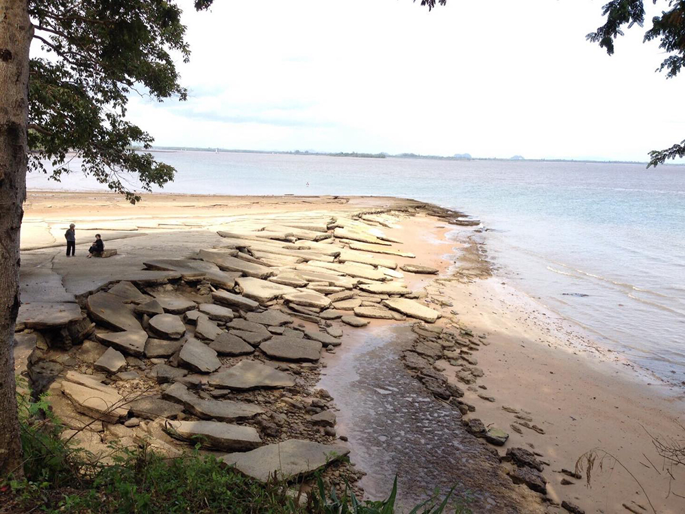 ฟอสซิลหอยโบราณสะสมตะกอนอัดแน่นที่สุสานหอยจนมีลักษณะคล้ายแผ่นซีเมนต์ (ภาพ : อช.หาดนพรัตน์ธารา-หมู่เกาะพีพี)