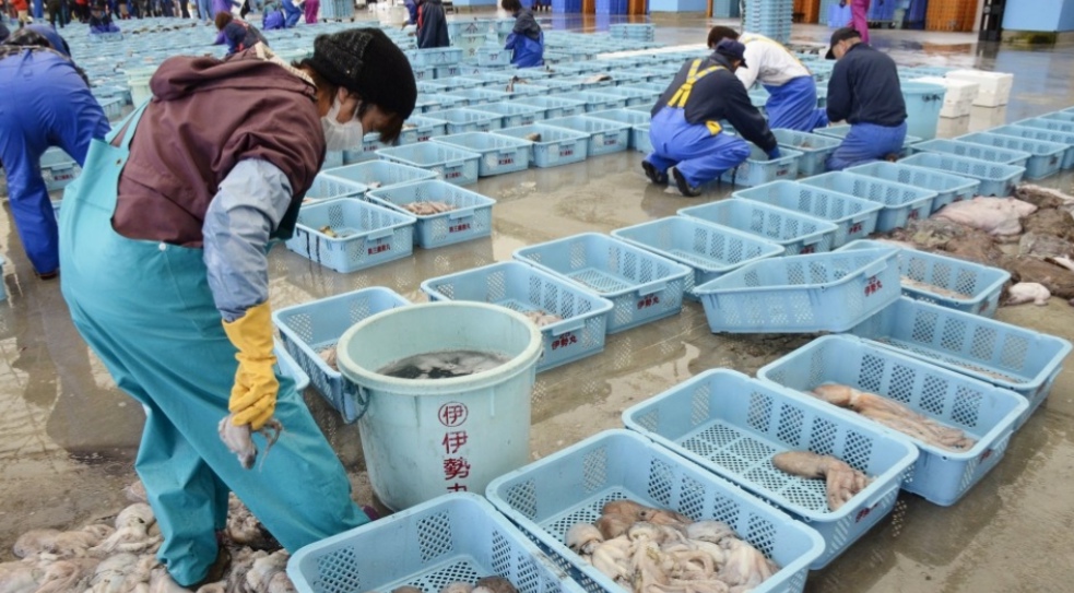 อาหารทะเลที่ท่าเรือประมงในเมืองโซมะ จังหวัดฟุกุชิมะ ทางตะวันออกเฉียงเหนือของญี่ปุ่น (เกียวโด)