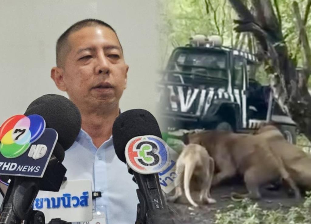 ผู้การฯ นิติเวช เผยผลชันสูตรเหยื่อสิงโตขย้ำ ตายเพราะเสียเลือดมาก อวัยวะยังอยู่ครบไม่ได้ถูกกิน