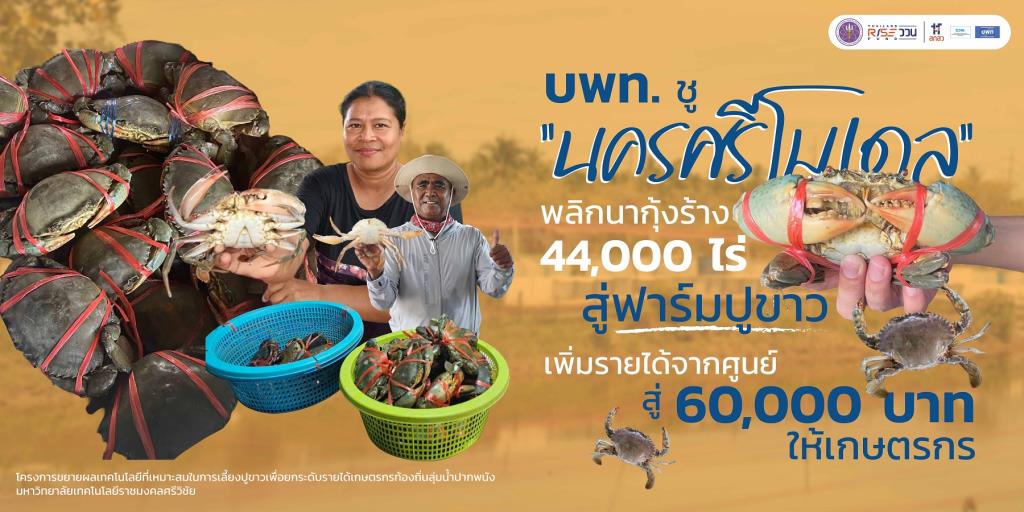 บพท. ชู “นครศรีโมเดล” พลิกนากุ้งร้าง 44,000 ไร่  สู่ฟาร์มปูขาว เพิ่มรายได้จากศูนย์ สู่ 60,000 บาทให้เกษตรกร