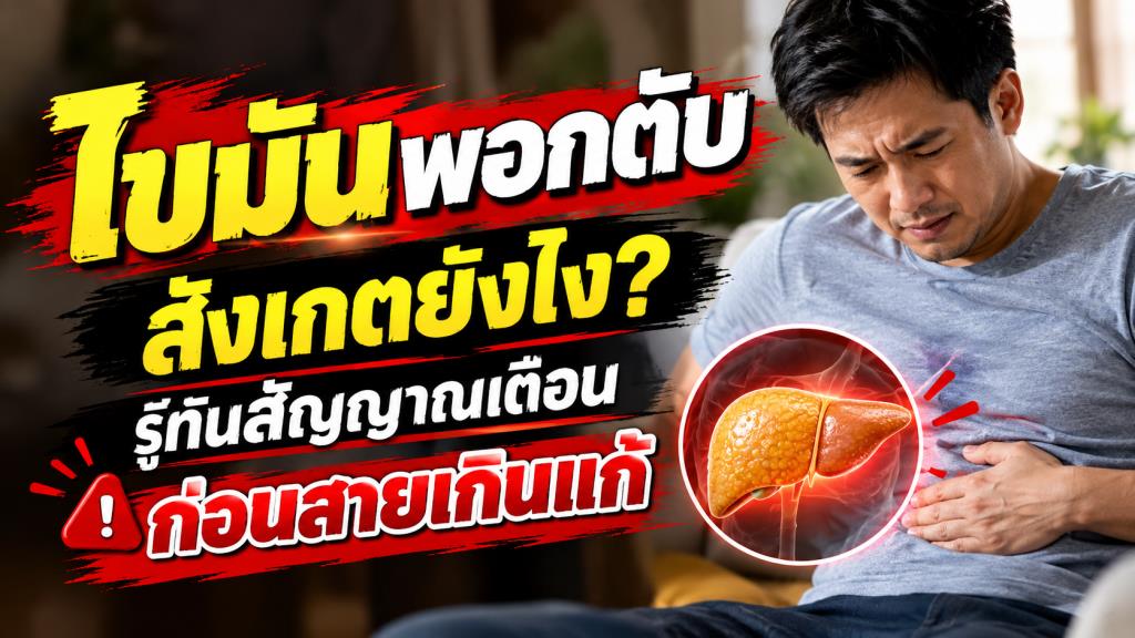 ไขมันพอกตับ สังเกตยังไง? รู้ทันสัญญาณเตือนก่อนสายเกินแก้