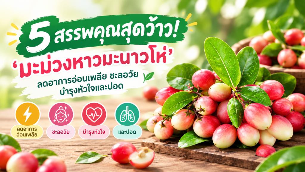 5 สรรพคุณสุดว้าว! ‘มะม่วงหาวมะนาวโห่’ ลดอาการอ่อนเพลีย ชะลอวัย บำรุงหัวใจและปอด